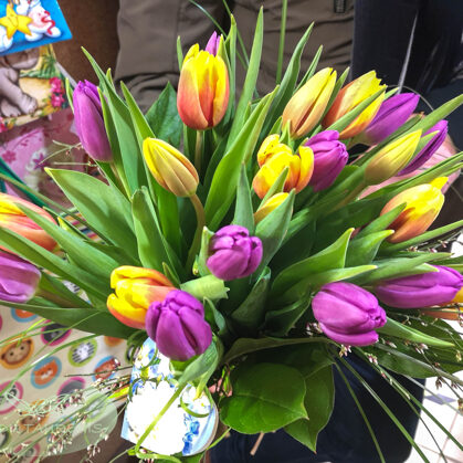 Tulpju piedāvājums sadaļā SORTIMENTS