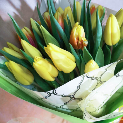 Tulpju piedāvājums sadaļā SORTIMENTS