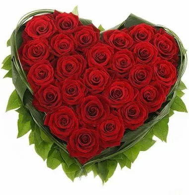 Vidējā ziedu kaste sirds formā. 25 rozes izvēlētajā krāsā. Diametrs 24 cm. 70,-e