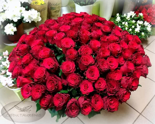 101 roze! Rožu cenas aplūkot sadaļā SORTIMENTS