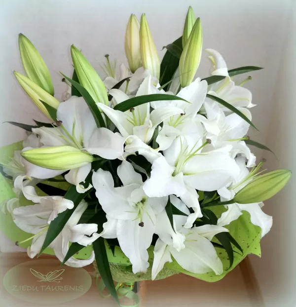 Liliju pušķis dekoratīvajā papīrā. 3 lilijas 35,-e. 5 lilijas 55,-e