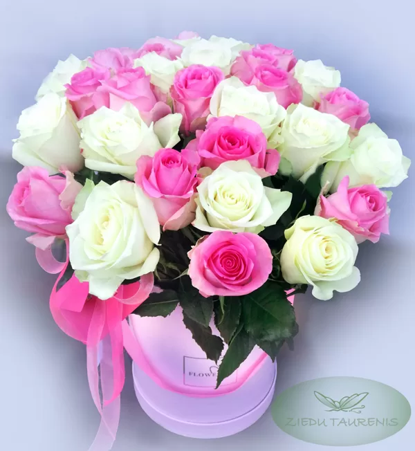 35 cm garas rozes kastē. 25gb 59,-e, 30gb 67,-e, 35gb 74,-e